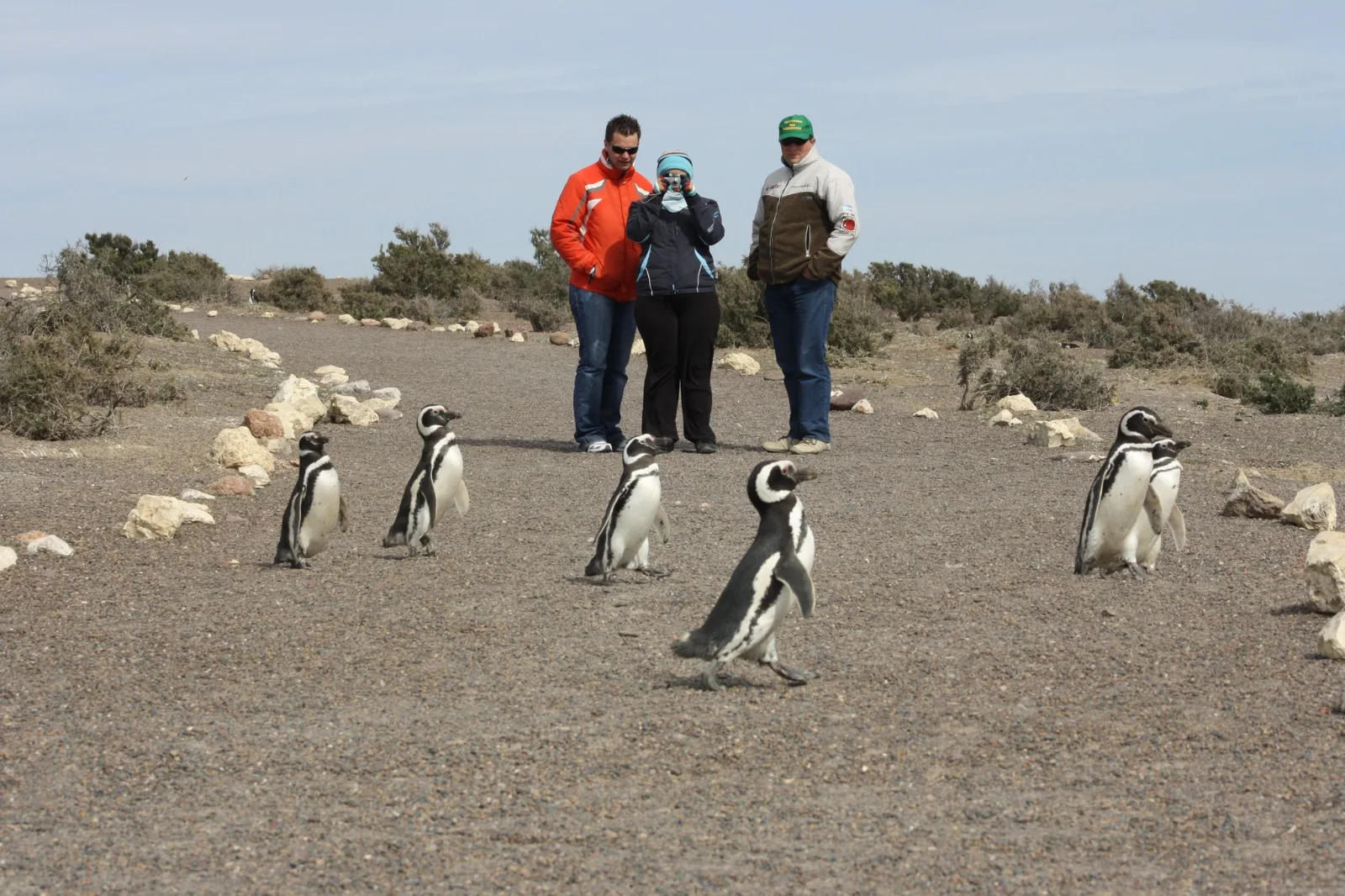 Chubut registró más de 24.000 turistas en el fin de semana largo de octubre