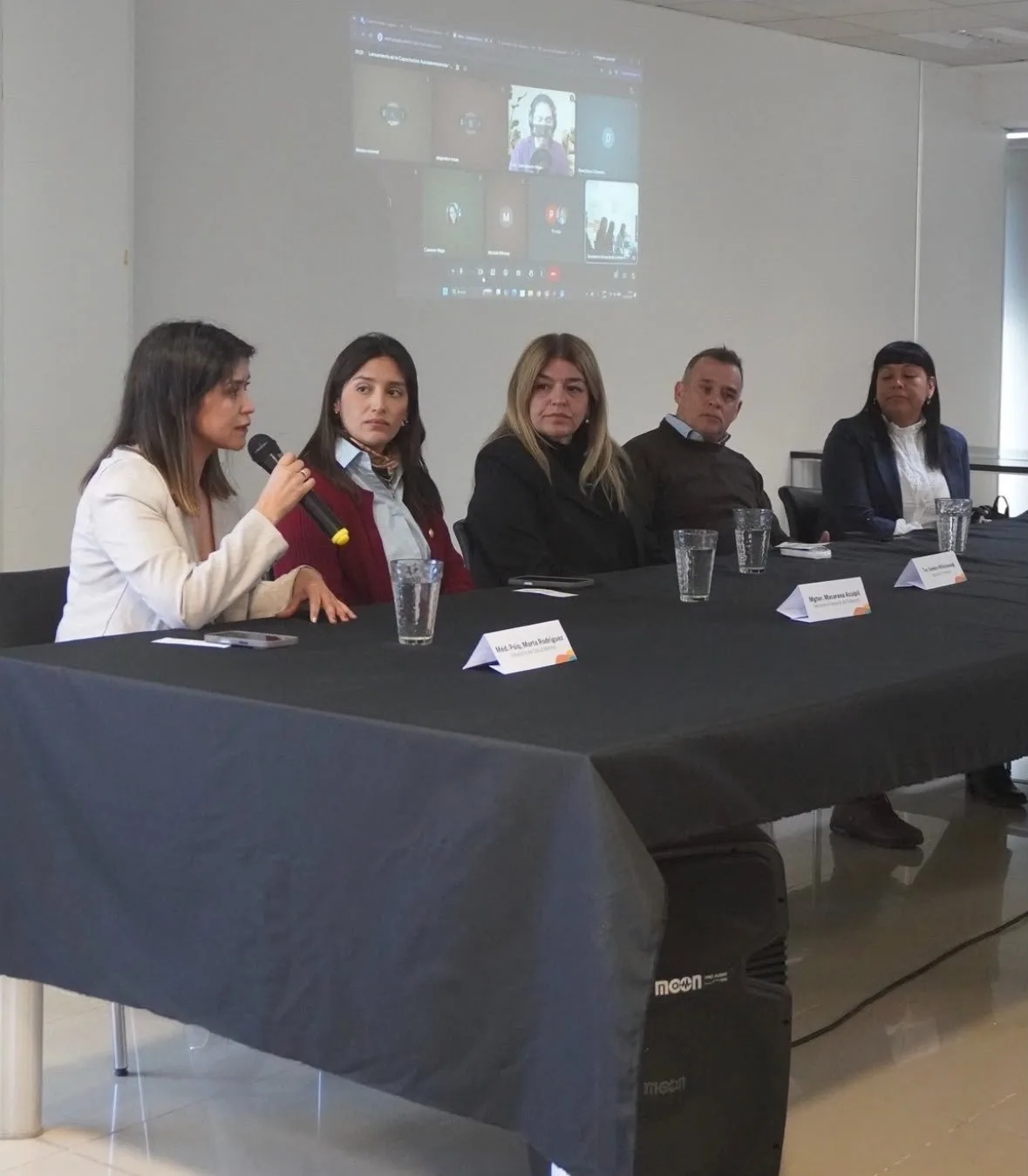 Chubut lanza capacitación virtual sobre salud mental y primera respuesta