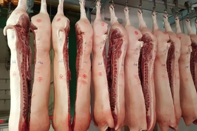 Esperan la definición del Malbrán por un caso sospechoso de triquinosis