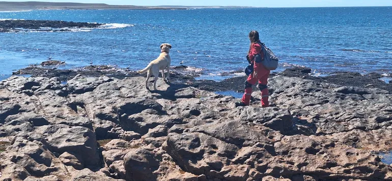 Cuatro semanas después, la búsqueda se concentra en Puerto Visser