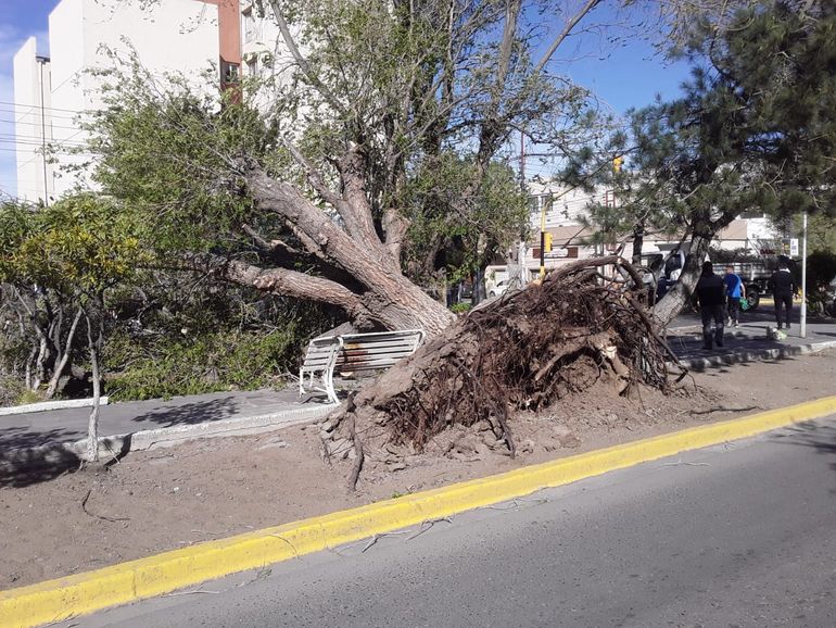 En Caleta Olivia a los destrozos se sumaron cortes de energía