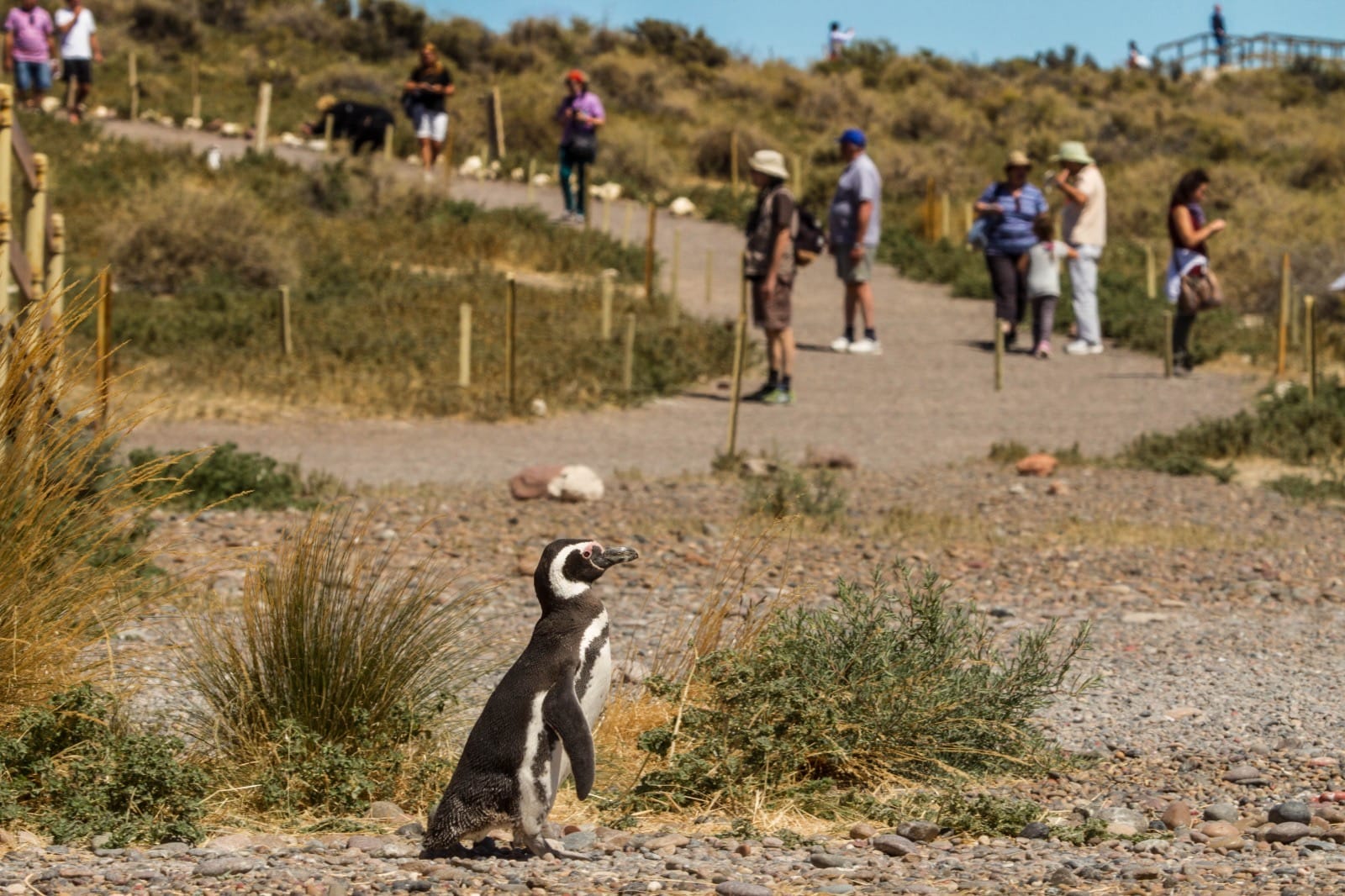 Gran movimiento turístico en Chubut durante el fin de semana largo