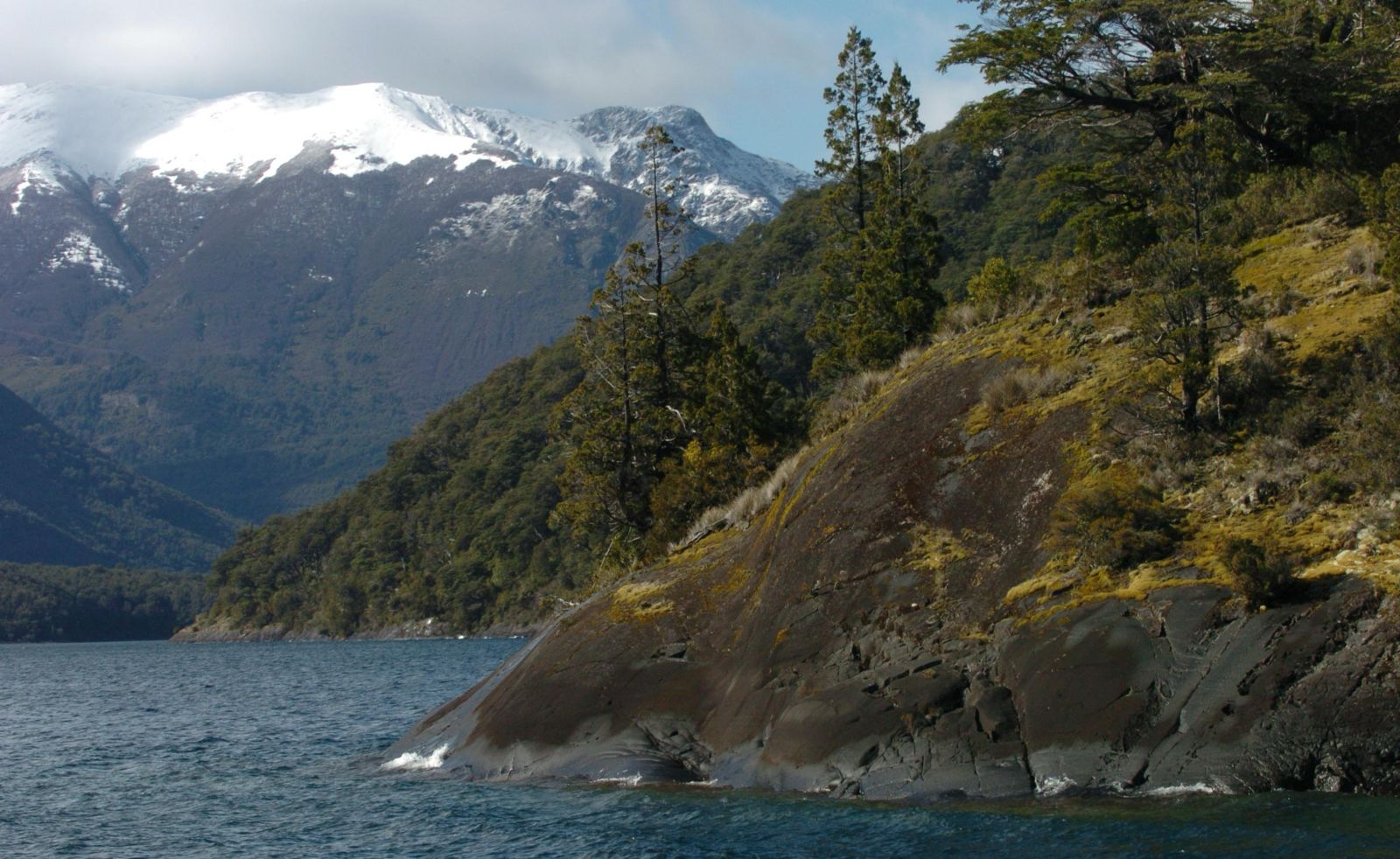 Provincia abrió la convocatoria para presentación de proyectos que requieran financiamiento de la Ley de Bosques