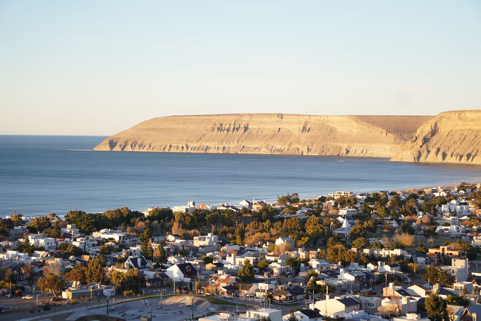 Acciones ante la presencia de caballos sueltos en Rada Tilly