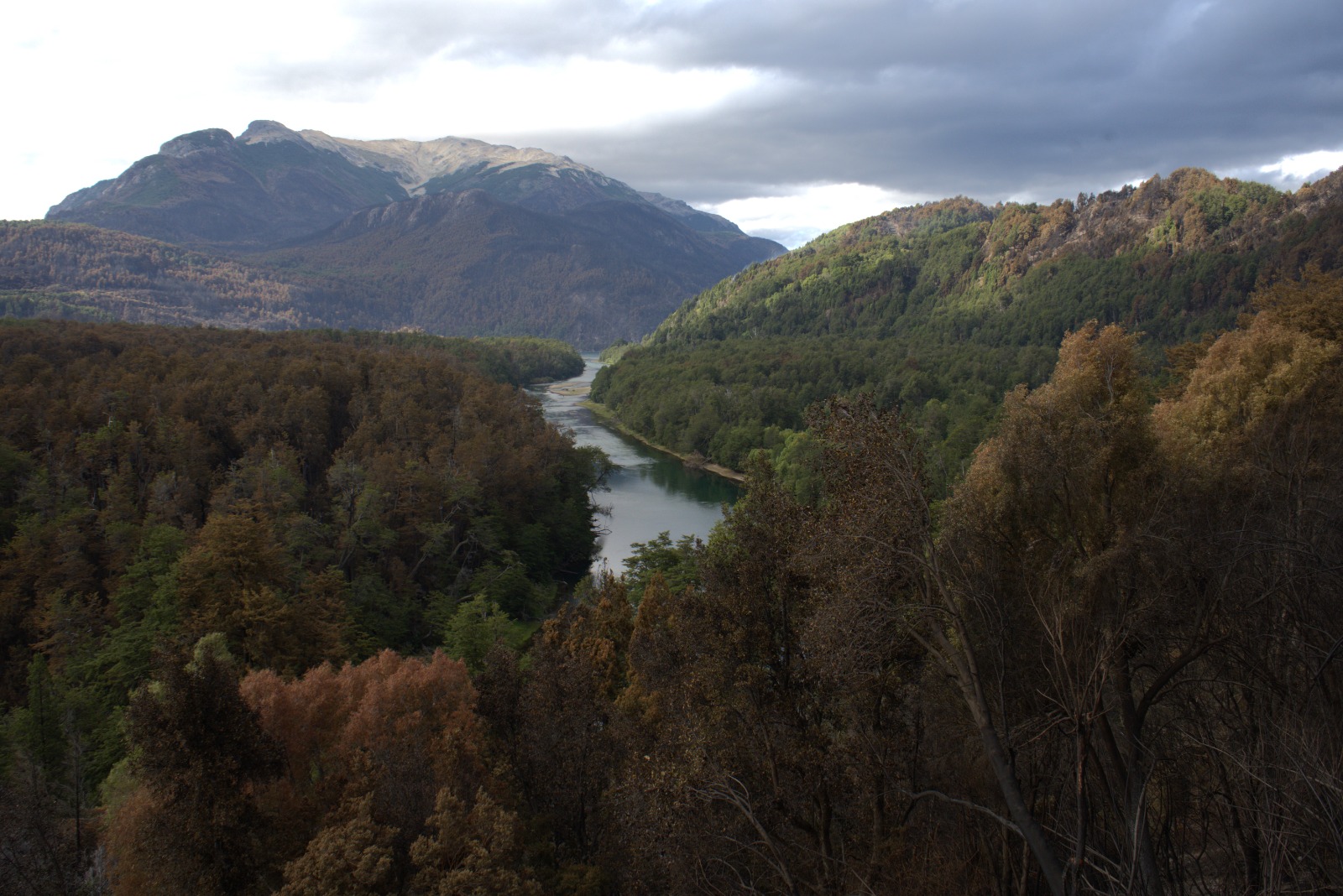Continúa el amplio despliegue de Provincia y Nación para controlar el incendio en el Parque Los Alerces