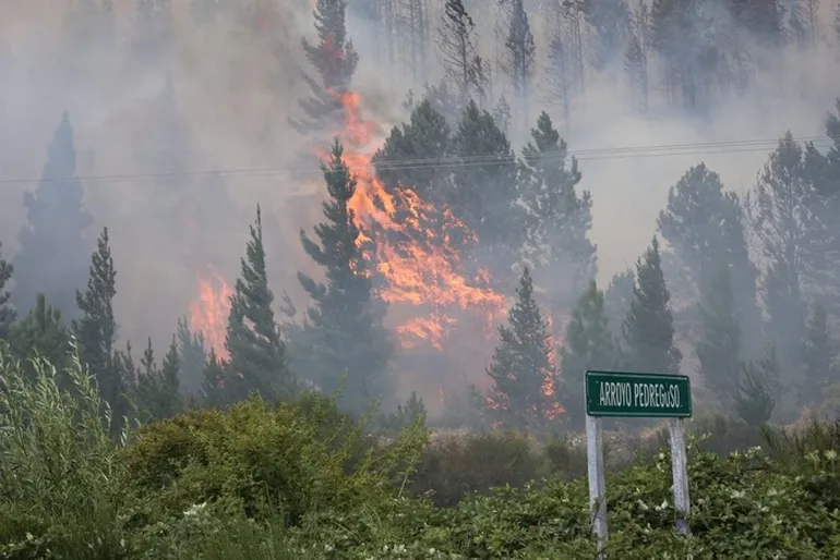Declaran el Estado de Emergencia Ígnea en la cordillera chubutense