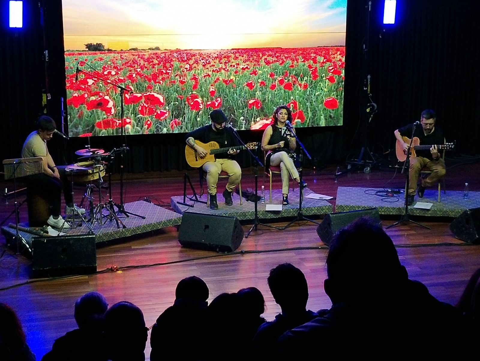 Música de raíz, tradición flamenca y arte urbano en distintos espacios culturales de Comodoro
