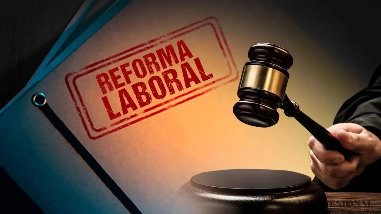 Mammarelli: «La creación de puestos de trabajo está atada directamente a la actividad económica y no a la legislación»
