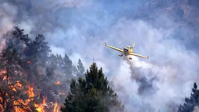 Cholila en alerta máxima: el fuego avanza y obliga a cortar la Ruta 71