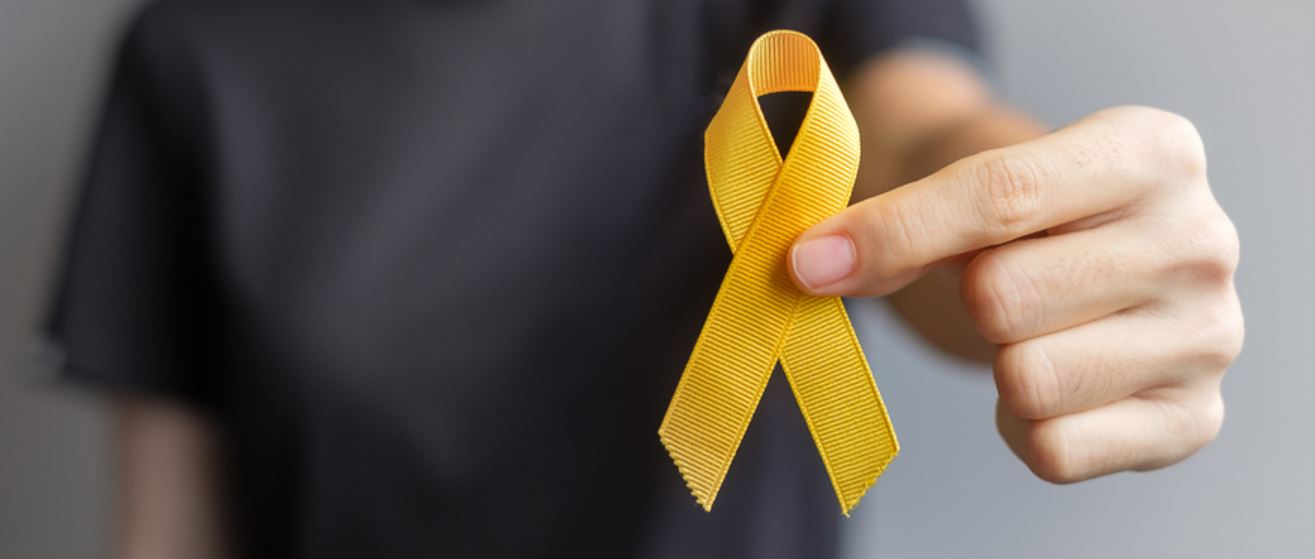 Espíndola sobre la nueva web de la Mesa Intersectorial en abordaje al suicidio: “La idea es que cualquier persona que esté buscando ayuda pueda acceder”