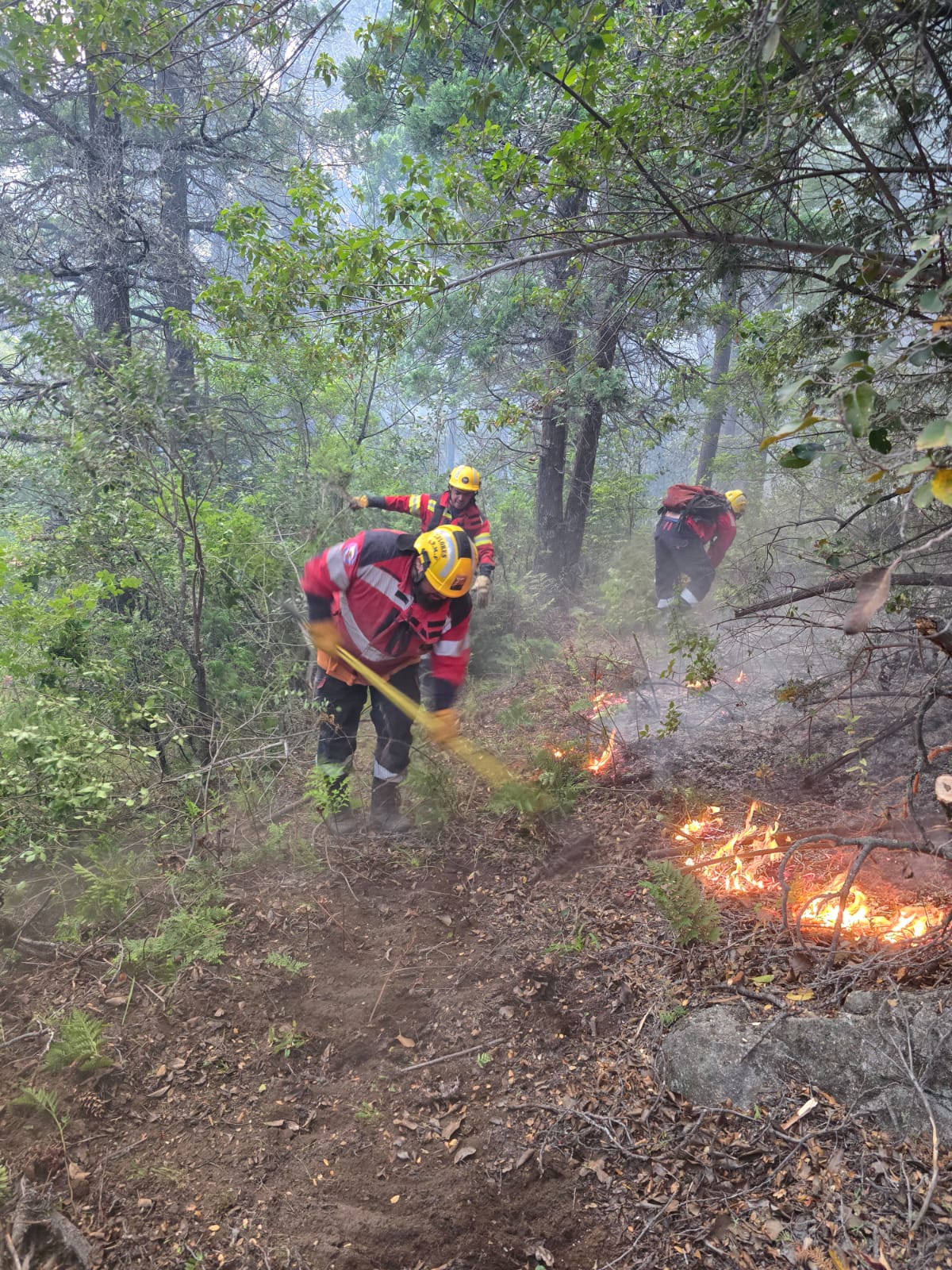 Provincia continúa con el amplio despliegue para controlar el incendio en El Pedregoso