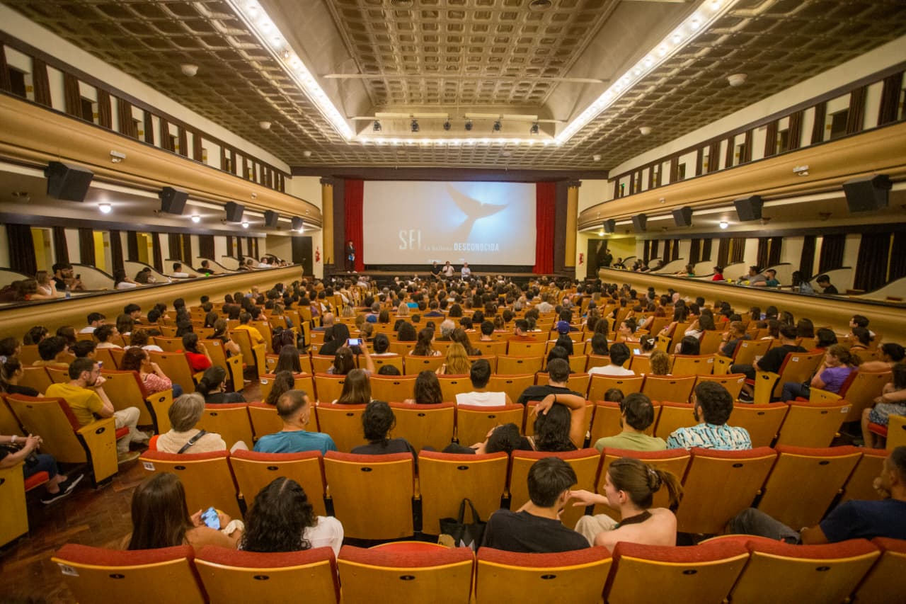 Se presenta en Puerto Madryn el documental “SEI, la ballena desconocida”