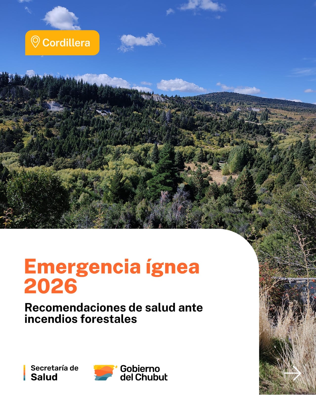 Incendios en la Cordillera: Provincia brindó recomendaciones para el cuidado de la salud