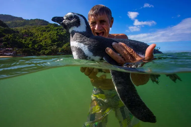 El PEFF Itinerante llega con una función especial de «Mi amigo el pingüino»