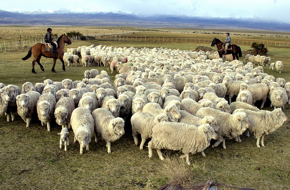 Fajardo sobre el despoblamiento rural: «Uno se pone a pensar en qué momento las problemáticas superaron las soluciones»