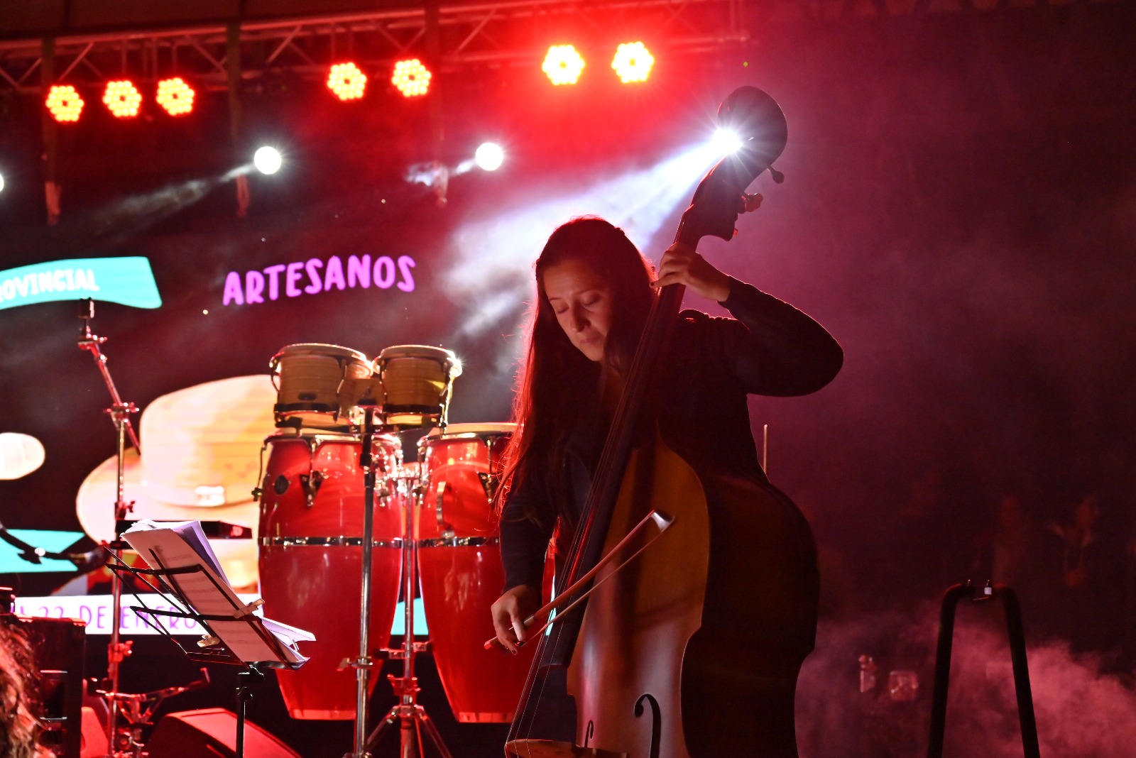 Chubut invita a participar de la Convocatoria de Fomento 2025 del Instituto Nacional de la Música